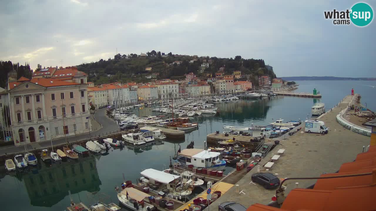 Webcam en direct de Piran “Mandrač” – Incroyable vue en direct de la Villa Piranesi
