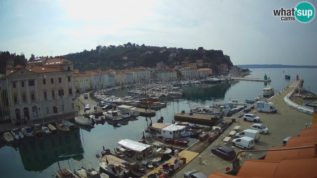 Webcam en direct de Piran “Mandrač” – Incroyable vue en direct de la Villa Piranesi
