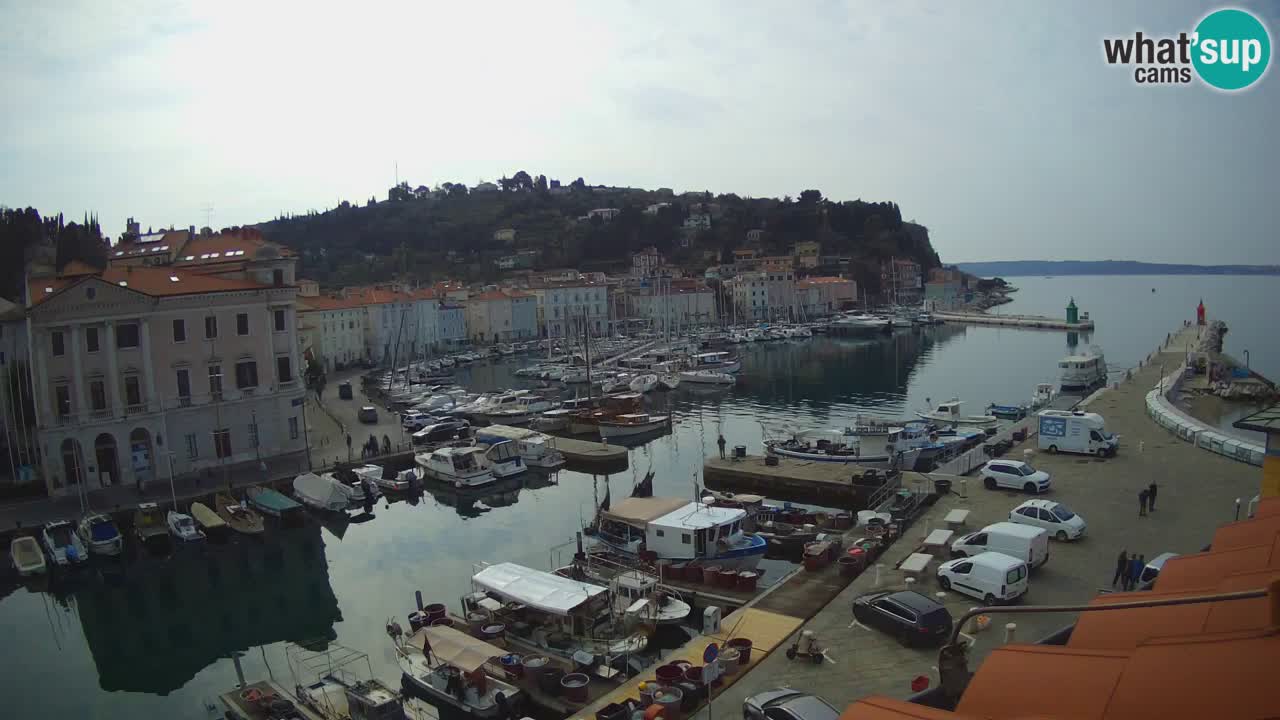 Webcam en direct de Piran “Mandrač” – Incroyable vue en direct de la Villa Piranesi
