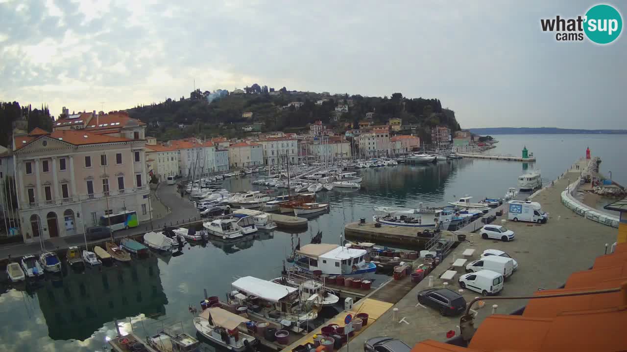 Web kamera uživo iz Pirana “Mandrač” – Nevjerojatan pogled uživo iz Ville Piranesi