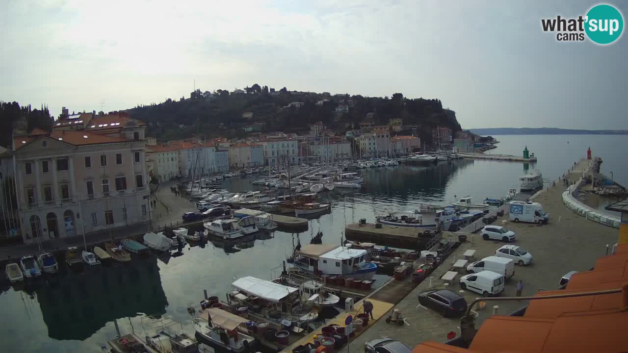 Live webcam from Piran “Mandrač” – Amazing live view from Villa Piranesi