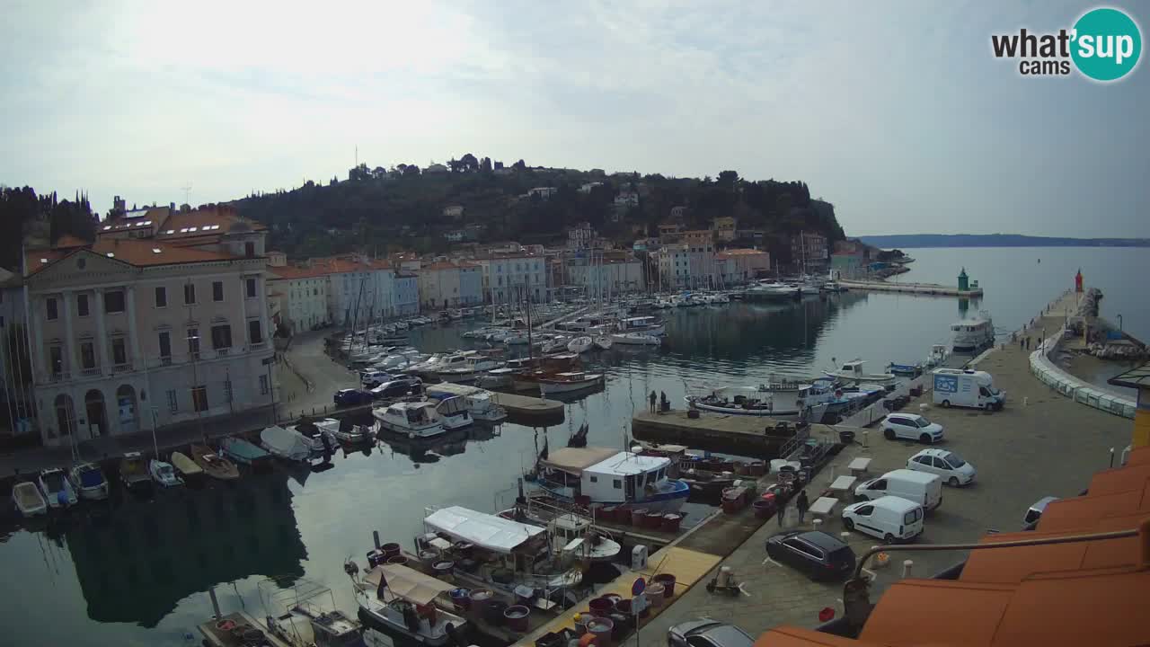 Webcam en direct de Piran “Mandrač” – Incroyable vue en direct de la Villa Piranesi