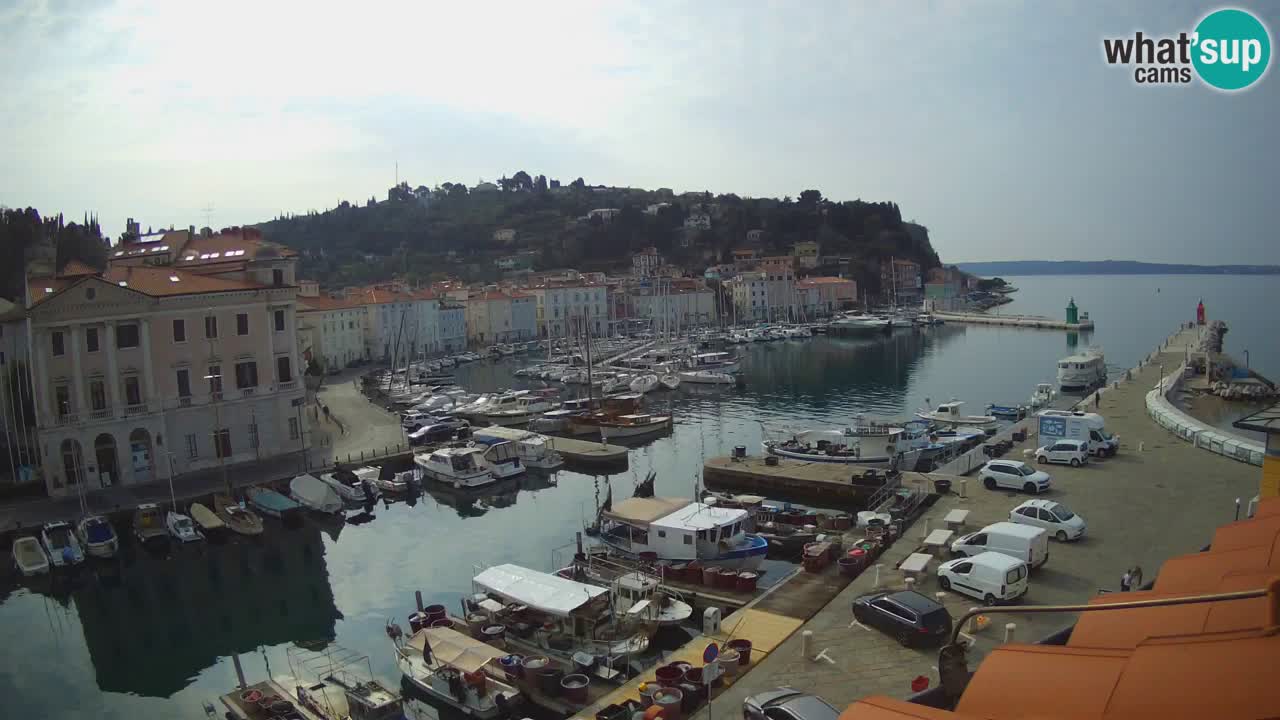 Webcam en direct de Piran “Mandrač” – Incroyable vue en direct de la Villa Piranesi