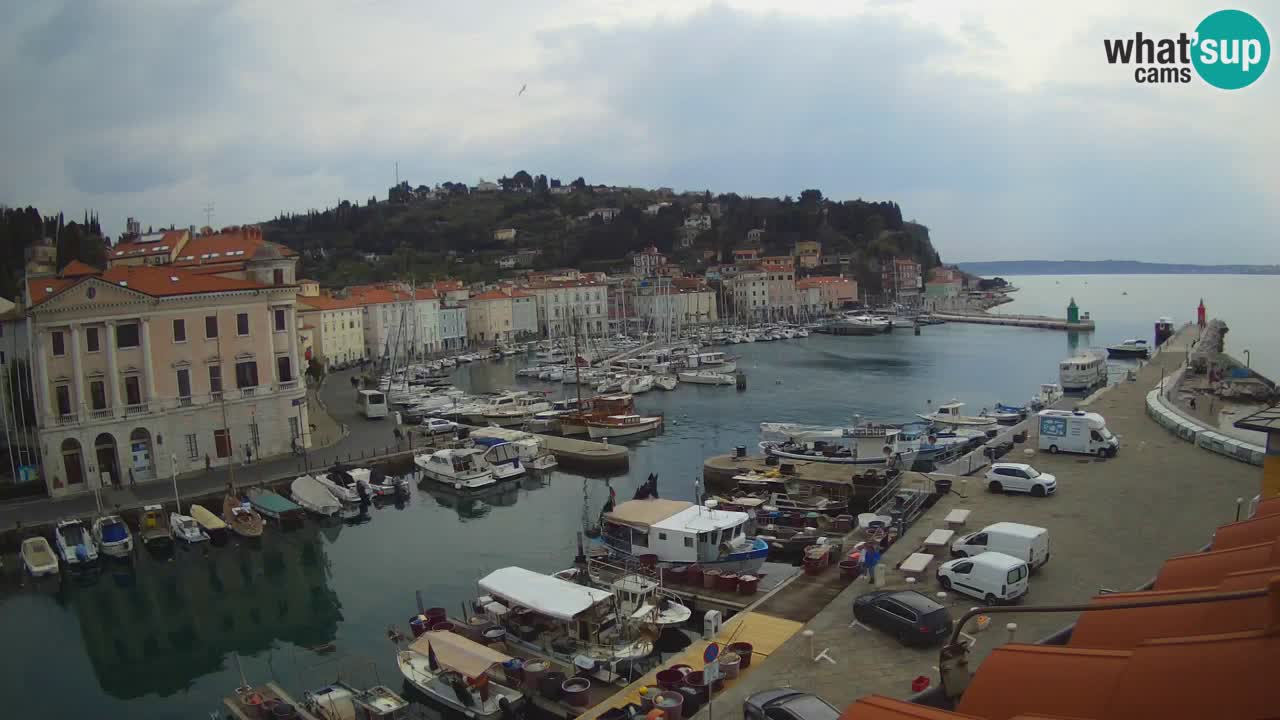 Live webcam from Piran “Mandrač” – Amazing live view from Villa Piranesi