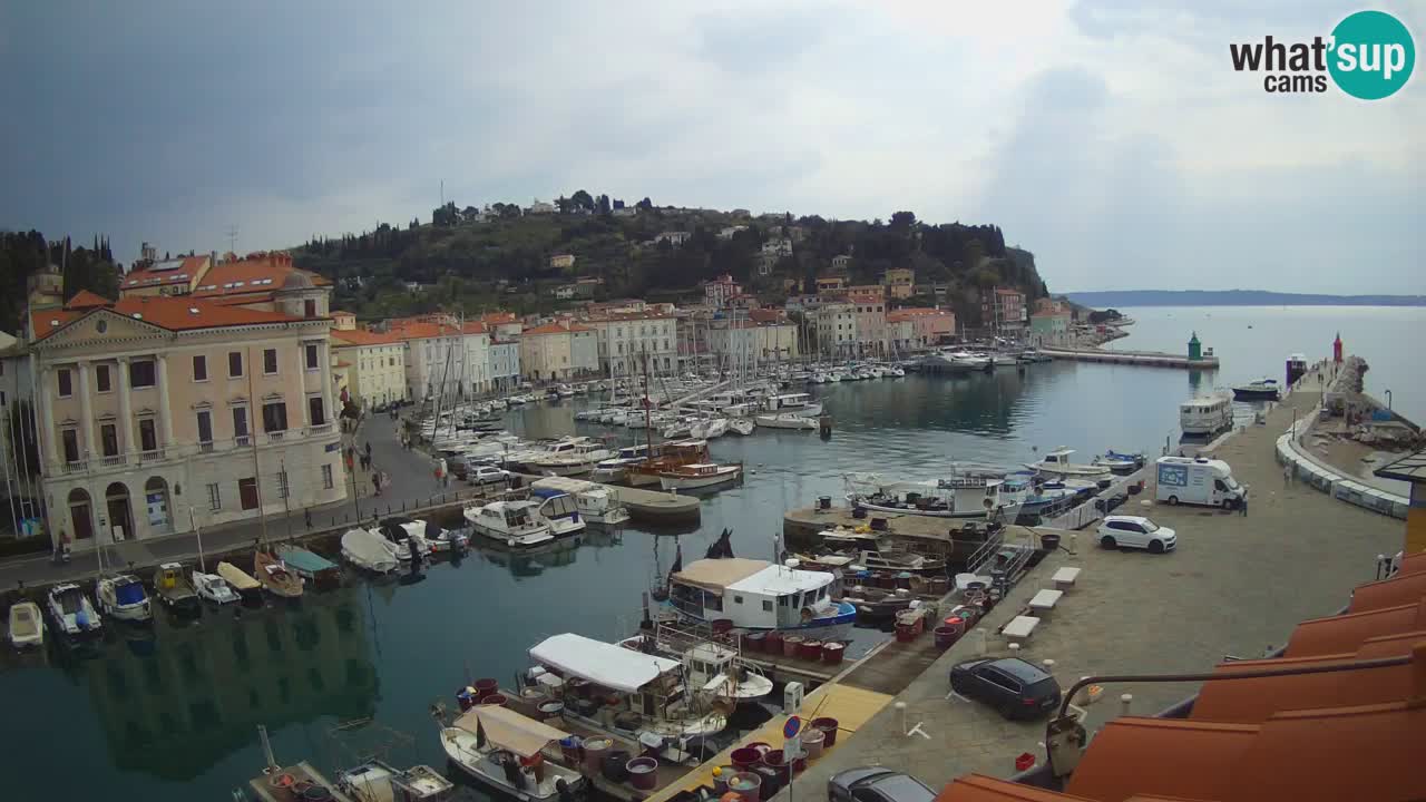 Iz Pirana Spletna kamera v živo “Mandrač” – Neverjeten pogled v živo iz Vile Piranesi