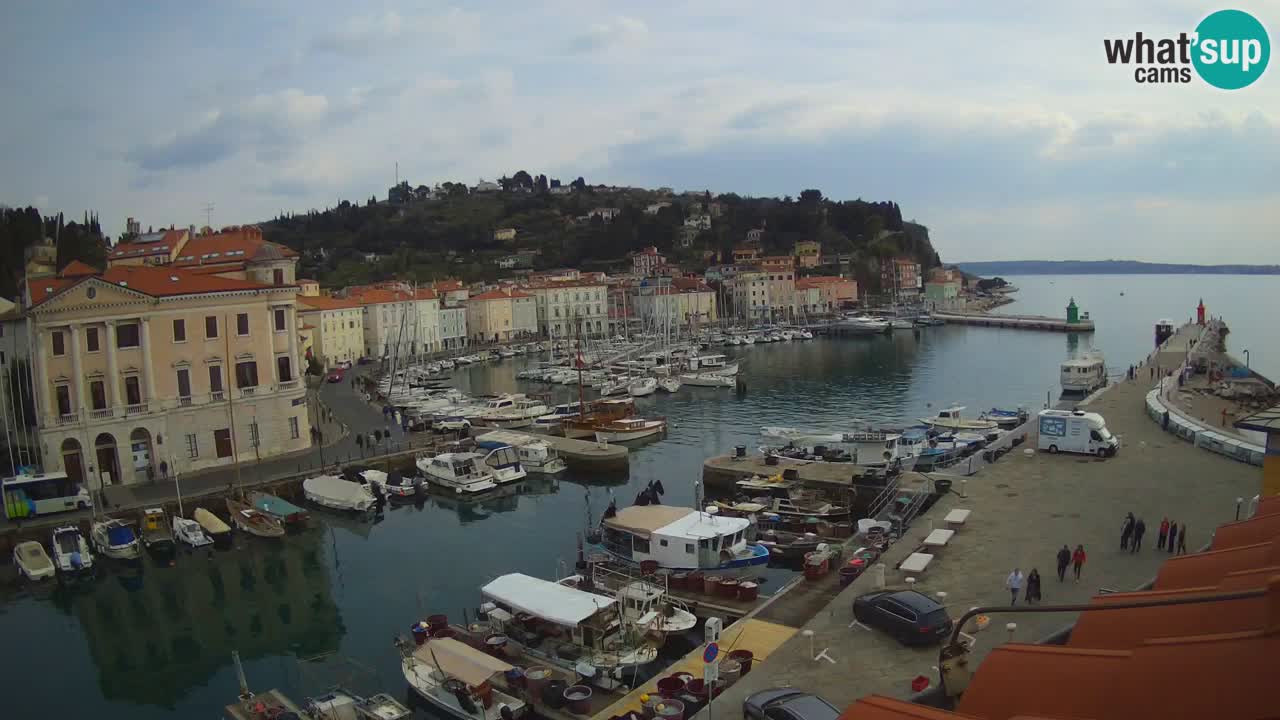 Iz Pirana Spletna kamera v živo “Mandrač” – Neverjeten pogled v živo iz Vile Piranesi