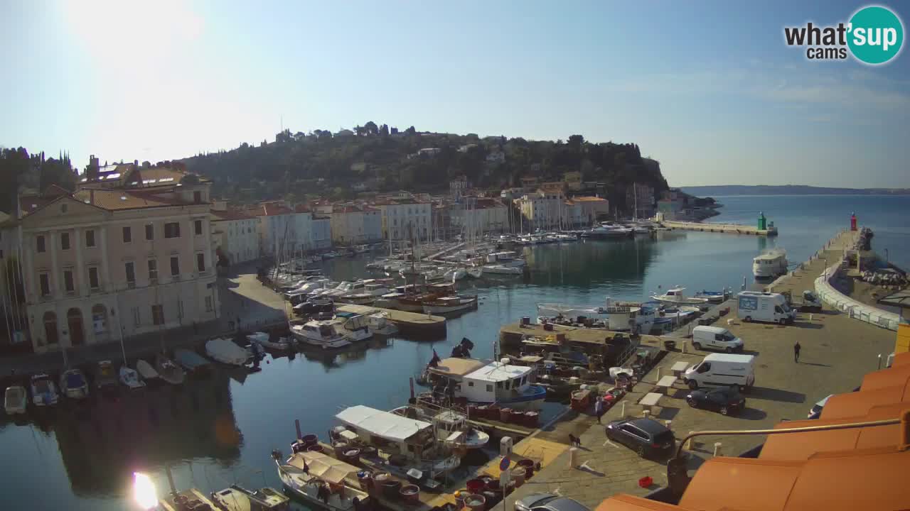 Iz Pirana Spletna kamera v živo “Mandrač” – Neverjeten pogled v živo iz Vile Piranesi