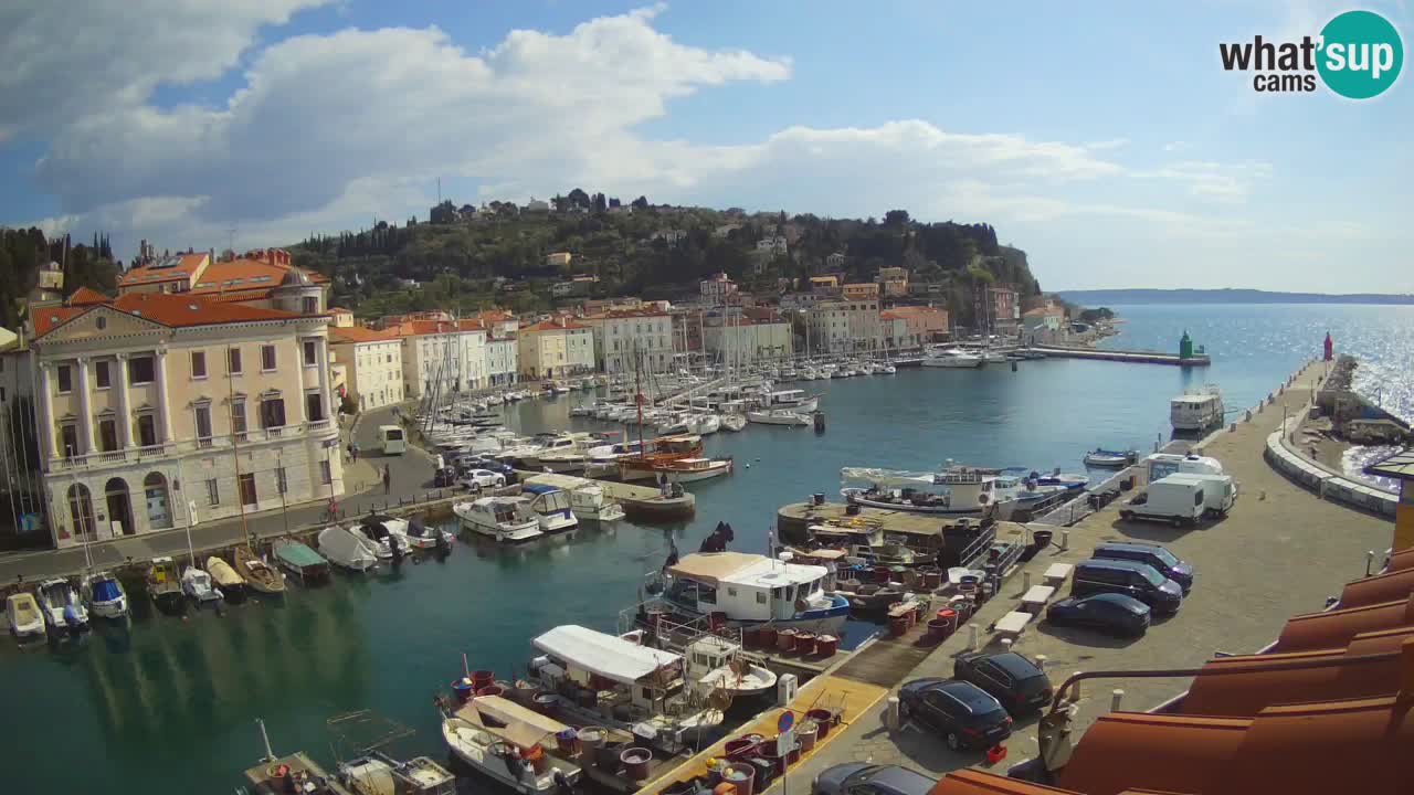 Live webcam da Pirano “Mandrač” – Splendida vista live da Villa Piranesi