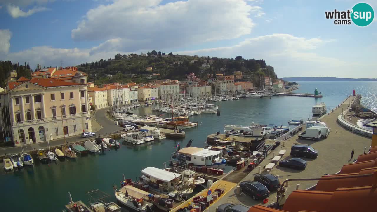 Iz Pirana Spletna kamera v živo “Mandrač” – Neverjeten pogled v živo iz Vile Piranesi