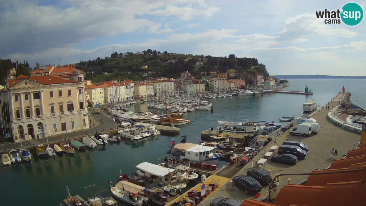 Iz Pirana Spletna kamera v živo “Mandrač” – Neverjeten pogled v živo iz Vile Piranesi