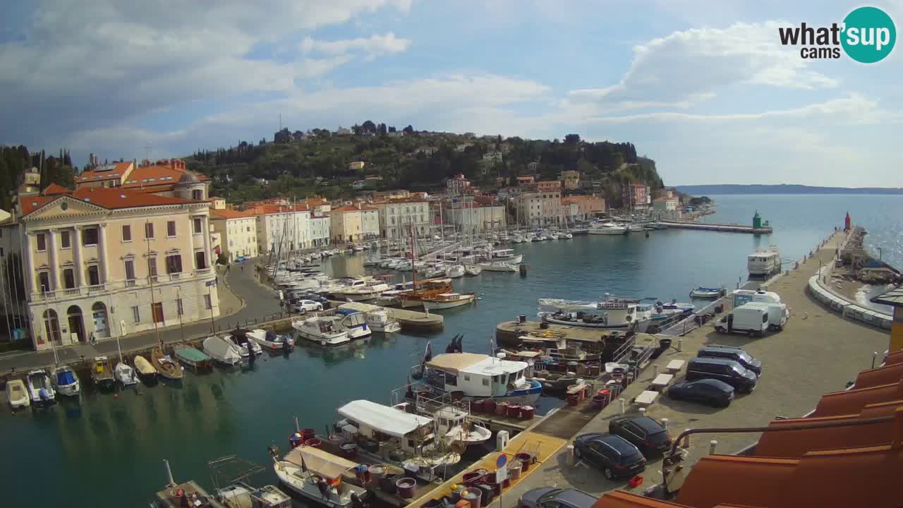 Live webcam da Pirano “Mandrač” – Splendida vista live da Villa Piranesi