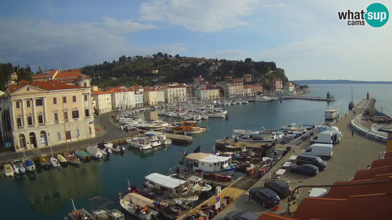 Web kamera uživo iz Pirana “Mandrač” – Nevjerojatan pogled uživo iz Ville Piranesi