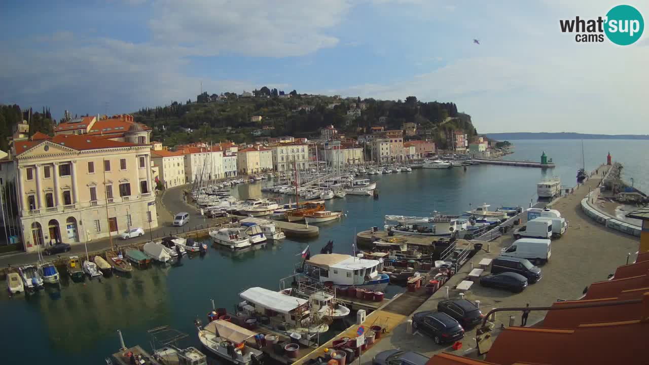 Live-Webcam aus Piran “Mandrač” – Erstaunliche Live-Ansicht von Villa Piranesi