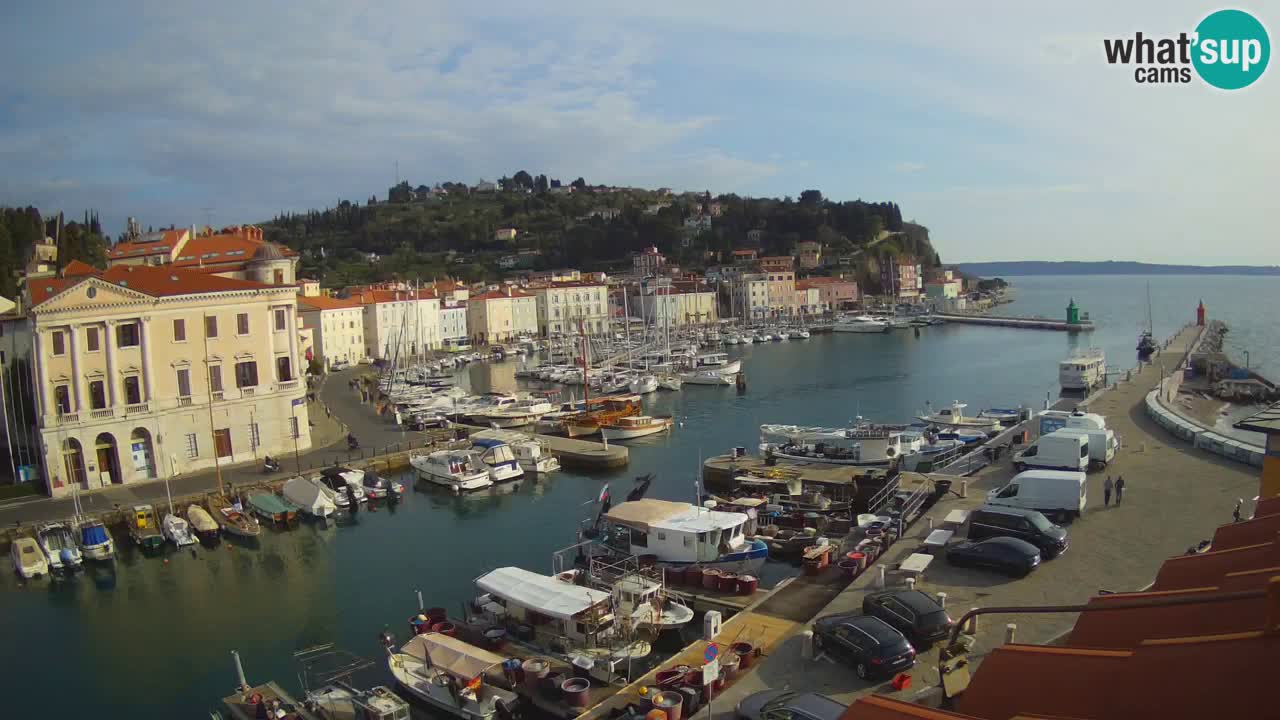 Web kamera uživo iz Pirana “Mandrač” – Nevjerojatan pogled uživo iz Ville Piranesi