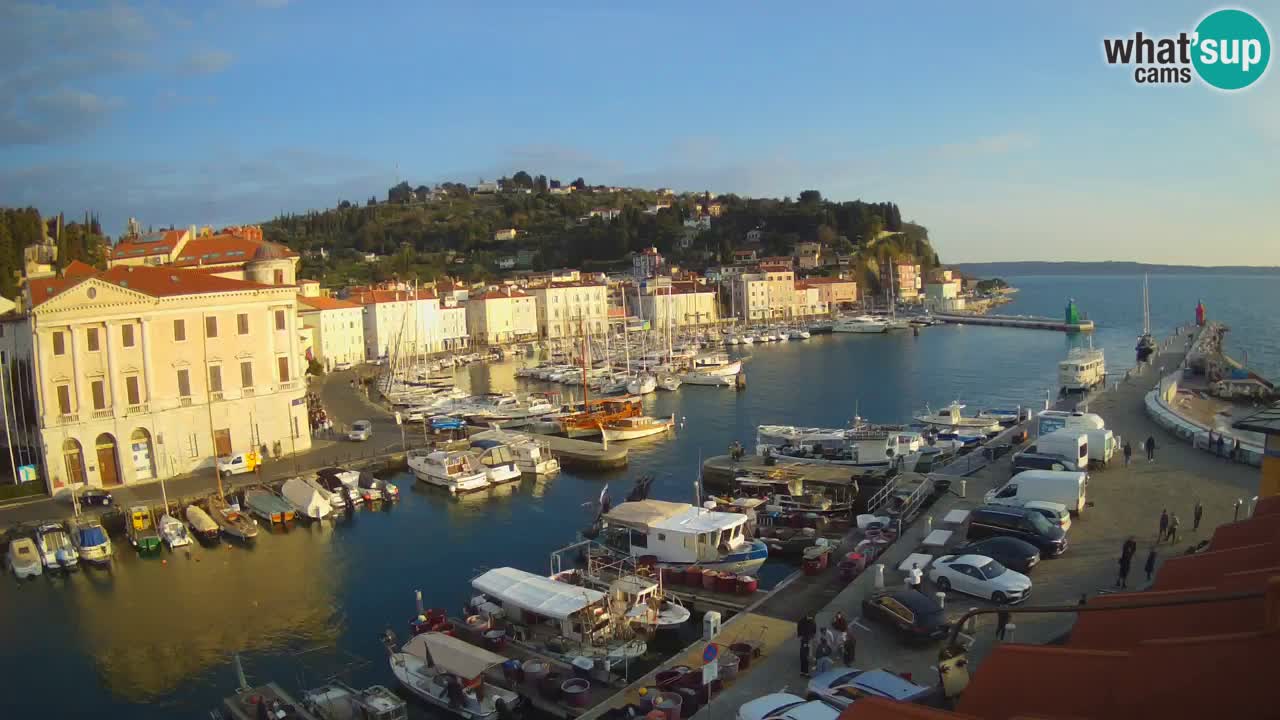 Iz Pirana Spletna kamera v živo “Mandrač” – Neverjeten pogled v živo iz Vile Piranesi