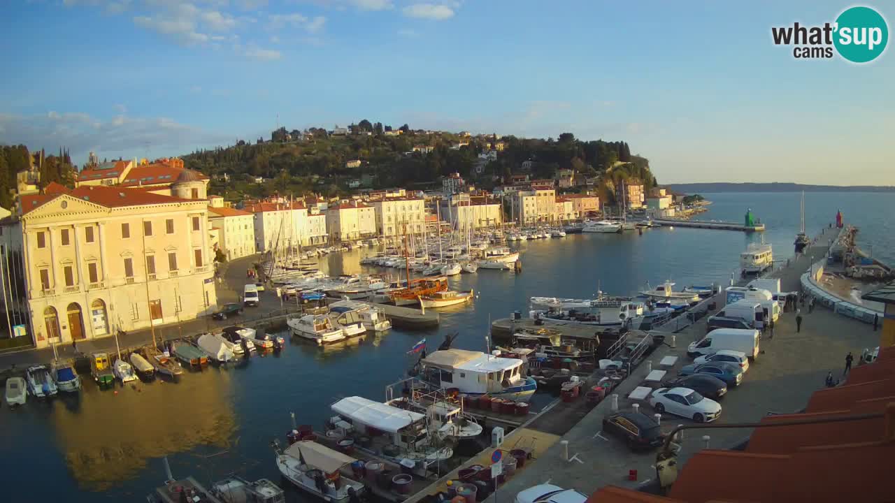 Iz Pirana Spletna kamera v živo “Mandrač” – Neverjeten pogled v živo iz Vile Piranesi