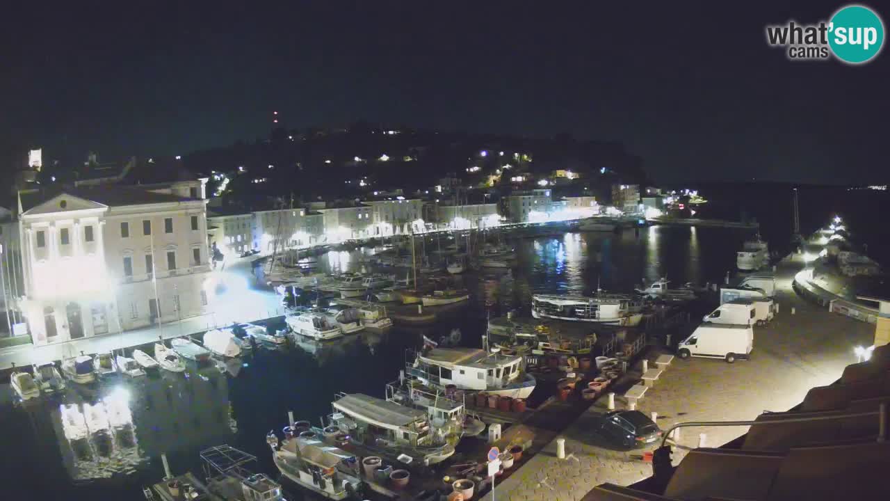 Iz Pirana Spletna kamera v živo “Mandrač” – Neverjeten pogled v živo iz Vile Piranesi