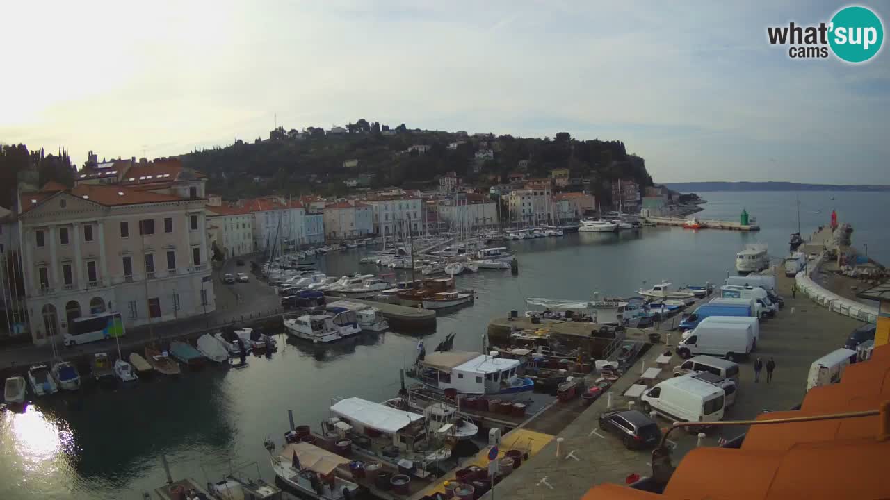 Web kamera uživo iz Pirana “Mandrač” – Nevjerojatan pogled uživo iz Ville Piranesi