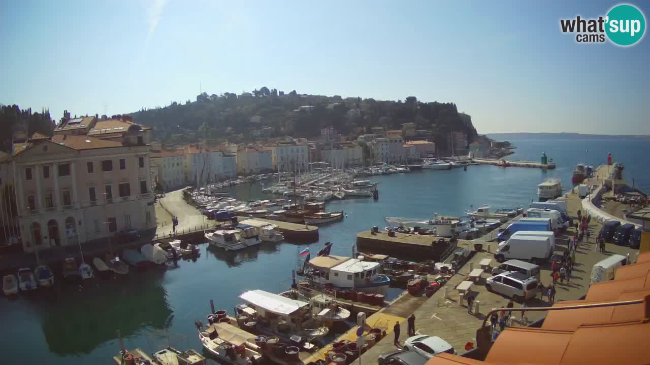 Live webcam da Pirano “Mandrač” – Splendida vista live da Villa Piranesi