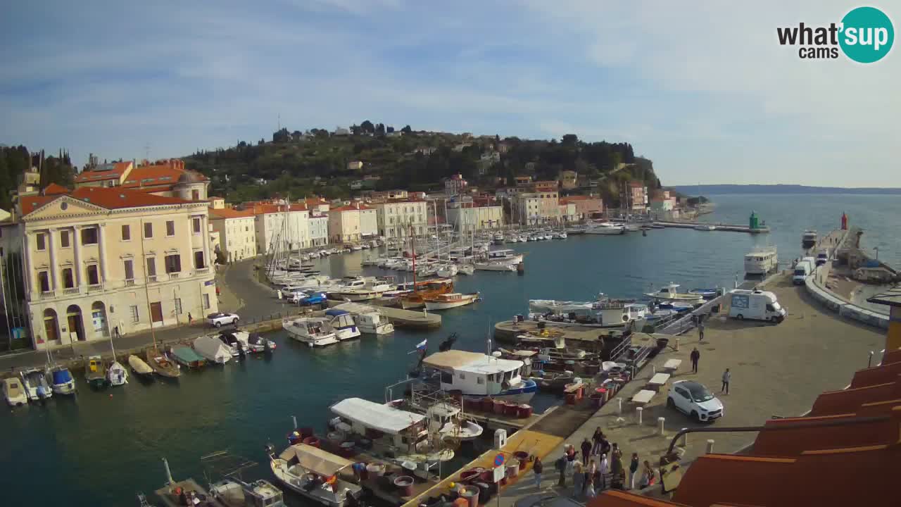 Web kamera uživo iz Pirana “Mandrač” – Nevjerojatan pogled uživo iz Ville Piranesi