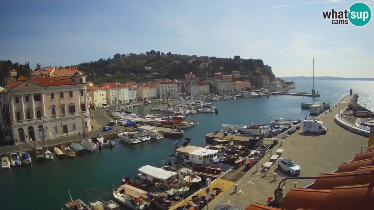 Web kamera uživo iz Pirana “Mandrač” – Nevjerojatan pogled uživo iz Ville Piranesi