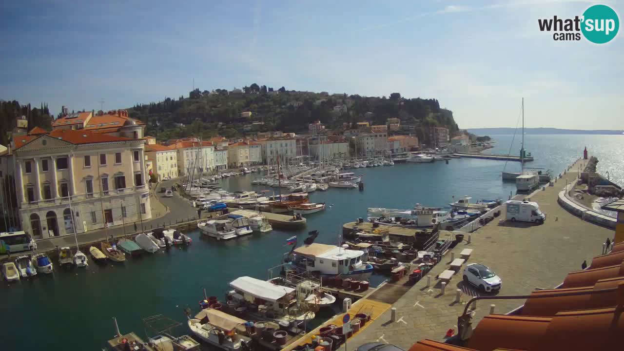 Web kamera uživo iz Pirana “Mandrač” – Nevjerojatan pogled uživo iz Ville Piranesi