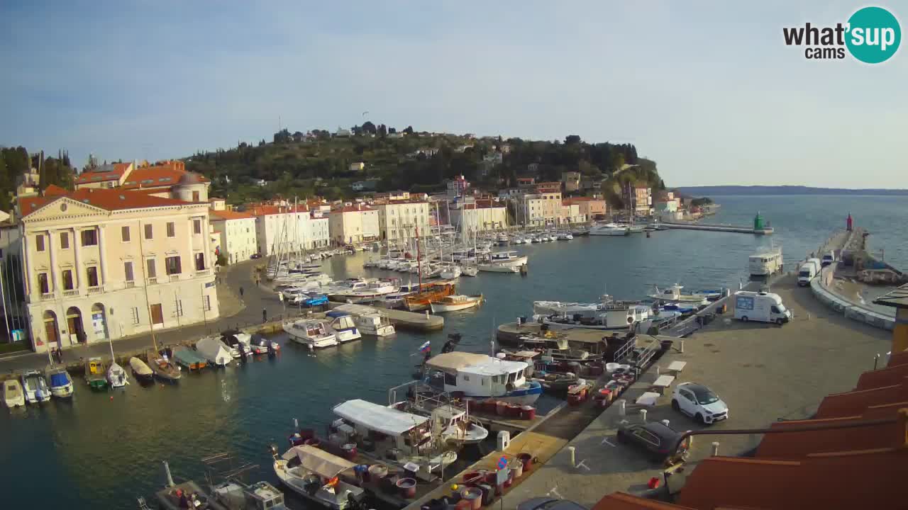 Iz Pirana Spletna kamera v živo “Mandrač” – Neverjeten pogled v živo iz Vile Piranesi