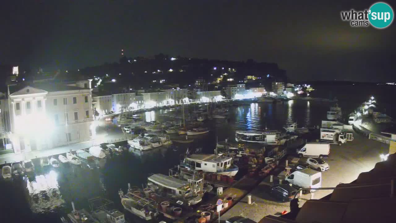 Iz Pirana Spletna kamera v živo “Mandrač” – Neverjeten pogled v živo iz Vile Piranesi