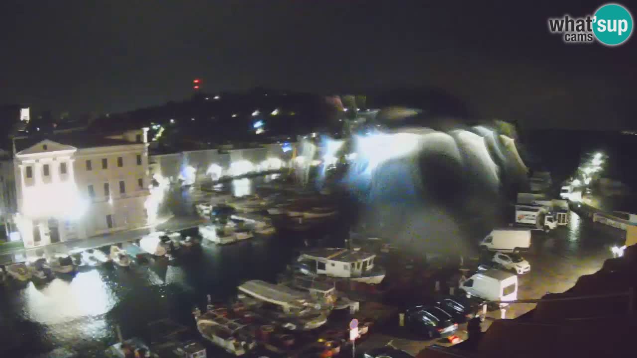 Iz Pirana Spletna kamera v živo “Mandrač” – Neverjeten pogled v živo iz Vile Piranesi