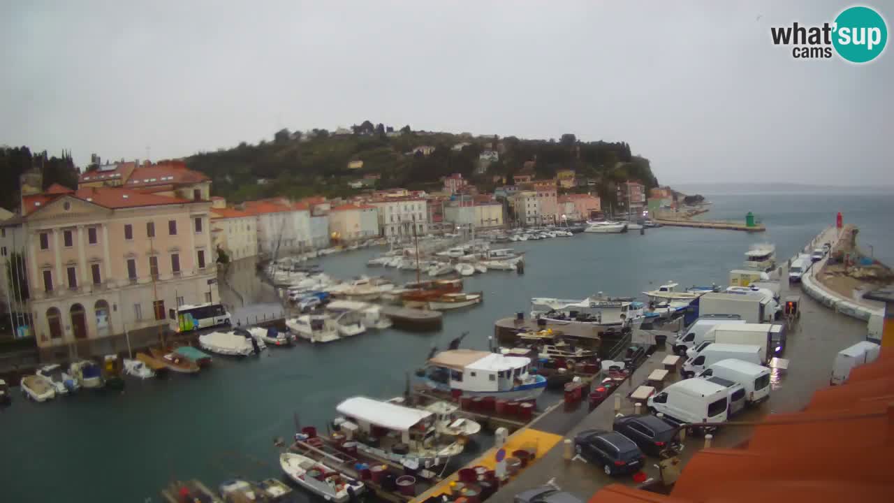 Live-Webcam aus Piran “Mandrač” – Erstaunliche Live-Ansicht von Villa Piranesi