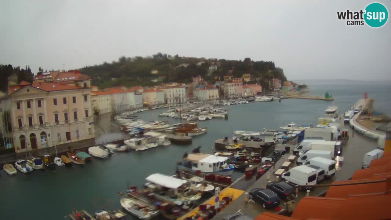 Cámara web en vivo desde Piran “Mandrač” – Increíble vista en vivo desde Villa Piranesi