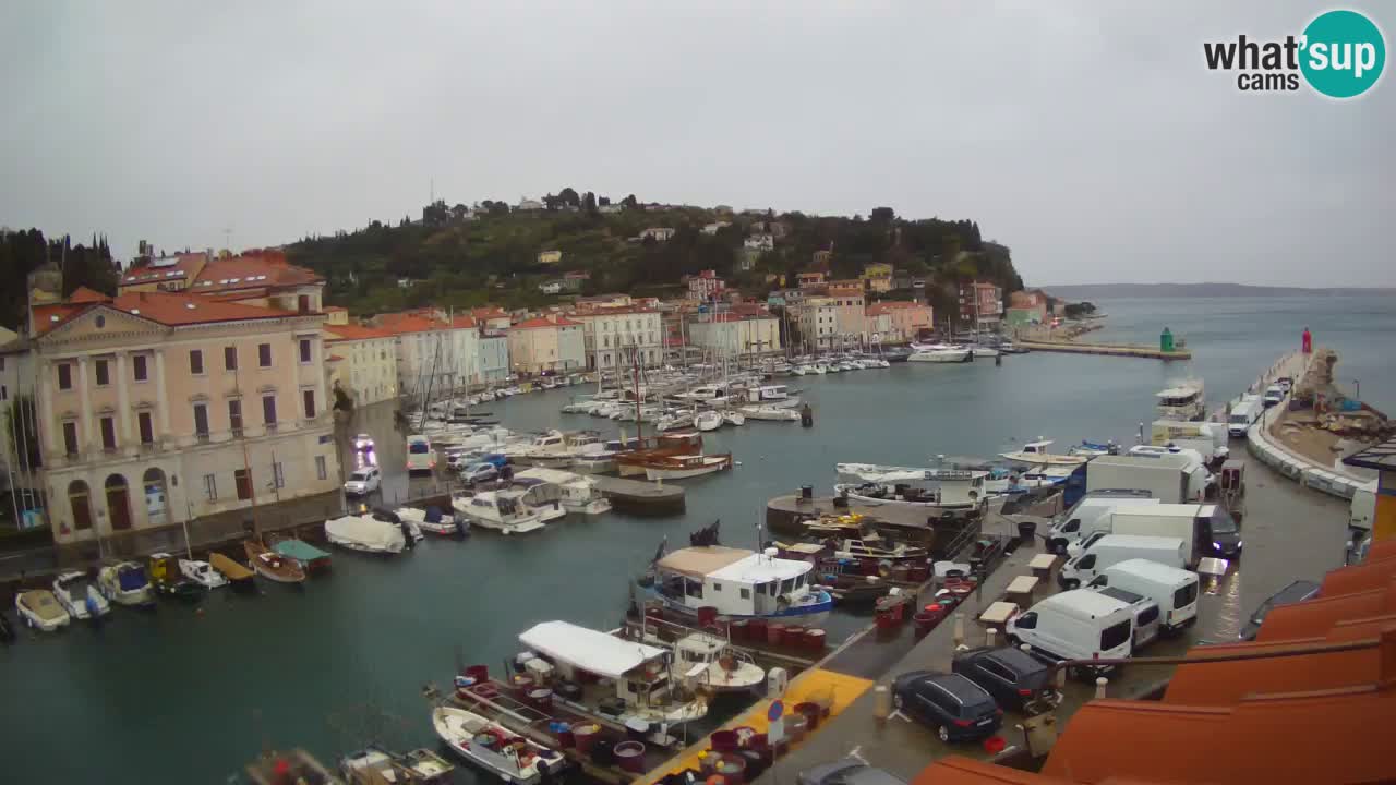 Webcam en direct de Piran “Mandrač” – Incroyable vue en direct de la Villa Piranesi