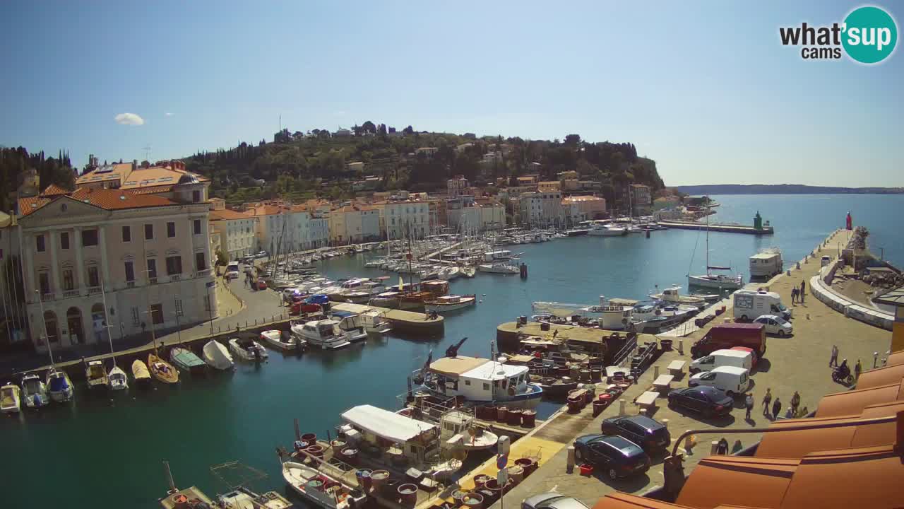 Live webcam da Pirano “Mandrač” – Splendida vista live da Villa Piranesi