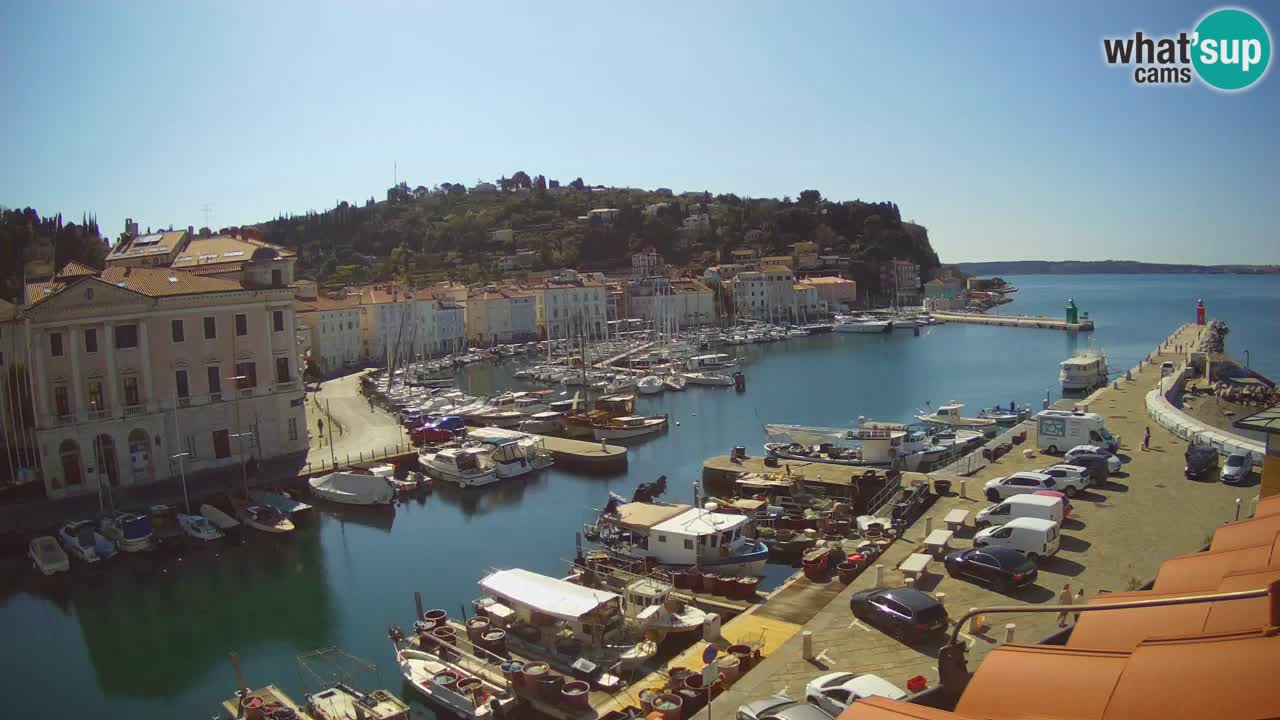 Iz Pirana Spletna kamera v živo “Mandrač” – Neverjeten pogled v živo iz Vile Piranesi