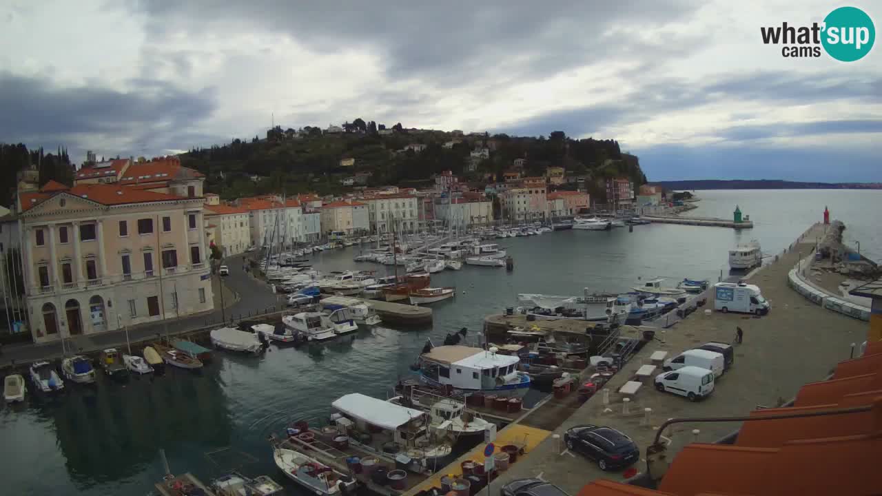 Web kamera uživo iz Pirana “Mandrač” – Nevjerojatan pogled uživo iz Ville Piranesi