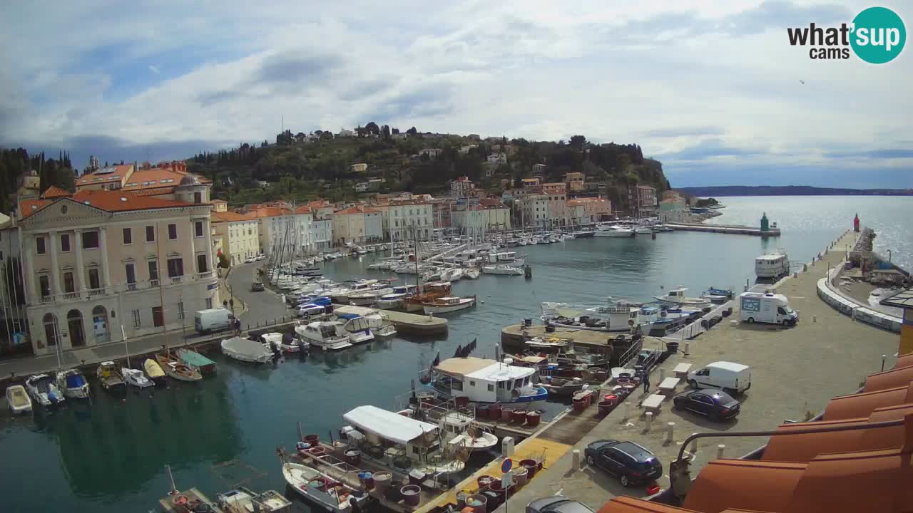 Web kamera uživo iz Pirana “Mandrač” – Nevjerojatan pogled uživo iz Ville Piranesi