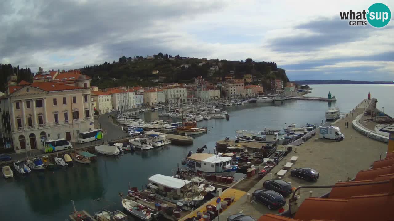 Live webcam from Piran “Mandrač” – Amazing live view from Villa Piranesi