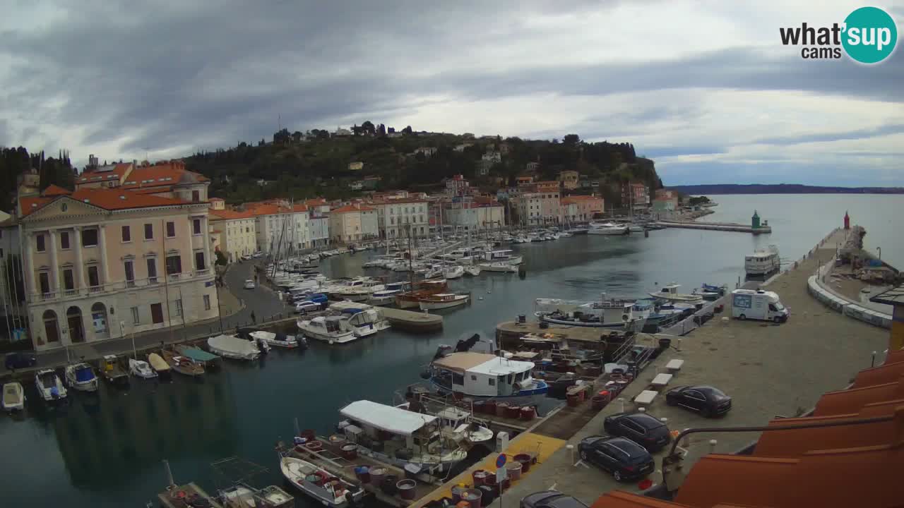 Iz Pirana Spletna kamera v živo “Mandrač” – Neverjeten pogled v živo iz Vile Piranesi