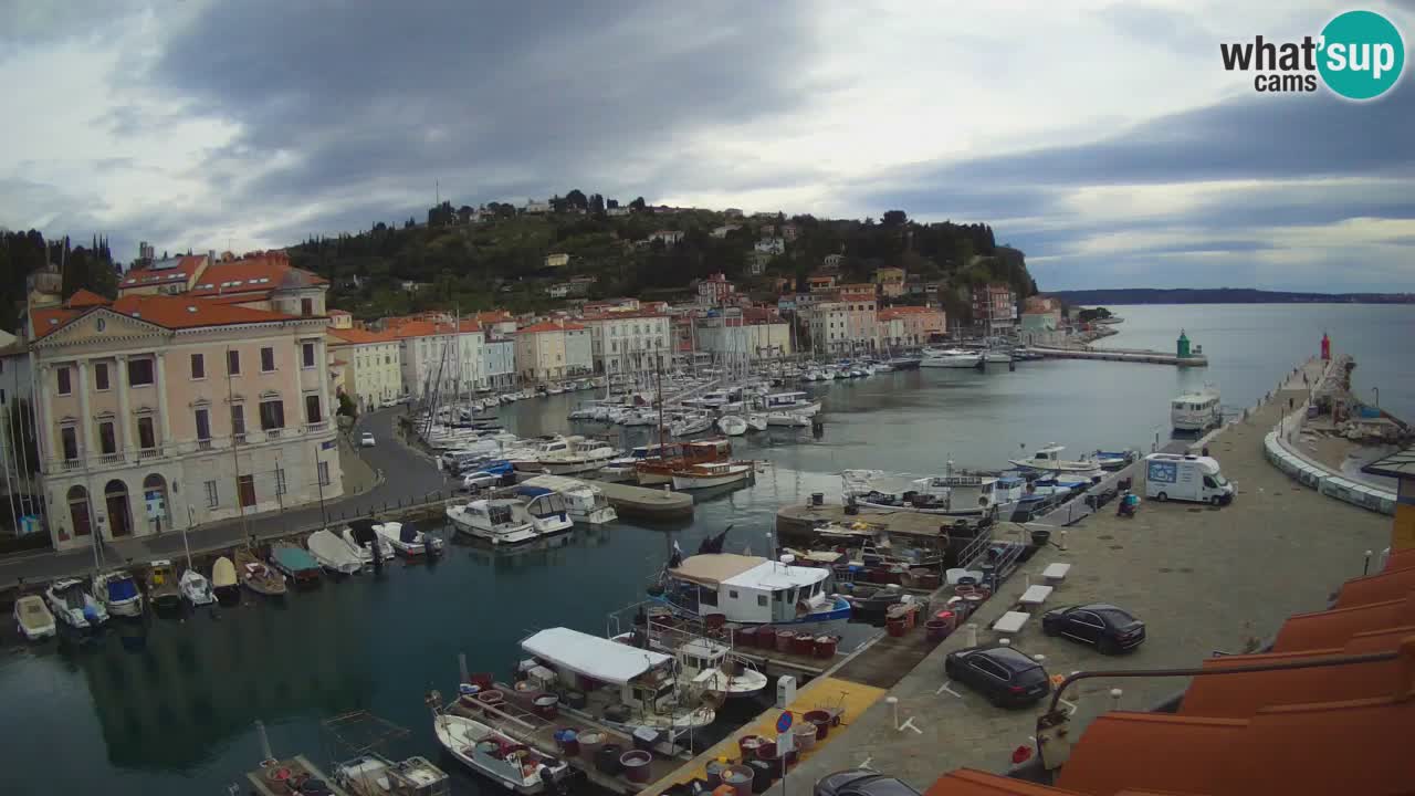 Web kamera uživo iz Pirana “Mandrač” – Nevjerojatan pogled uživo iz Ville Piranesi