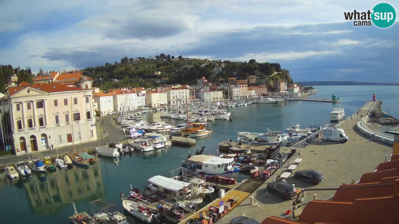 Iz Pirana Spletna kamera v živo “Mandrač” – Neverjeten pogled v živo iz Vile Piranesi