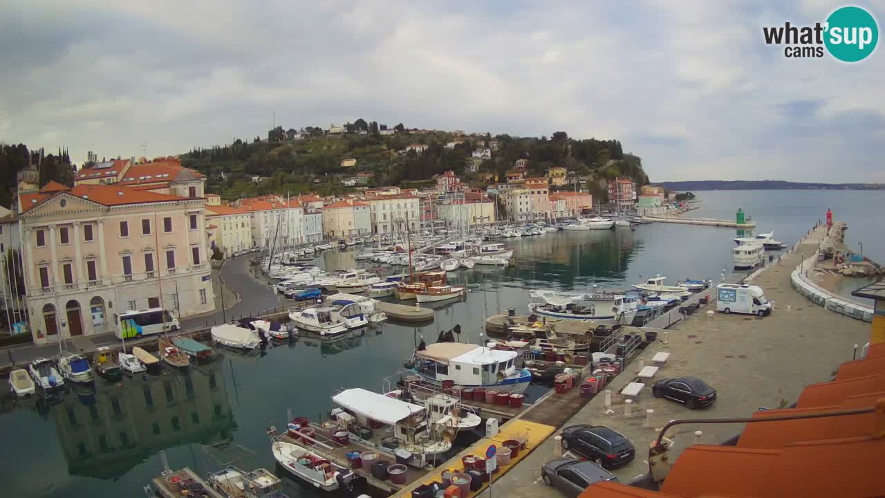 Live webcam from Piran “Mandrač” – Amazing live view from Villa Piranesi