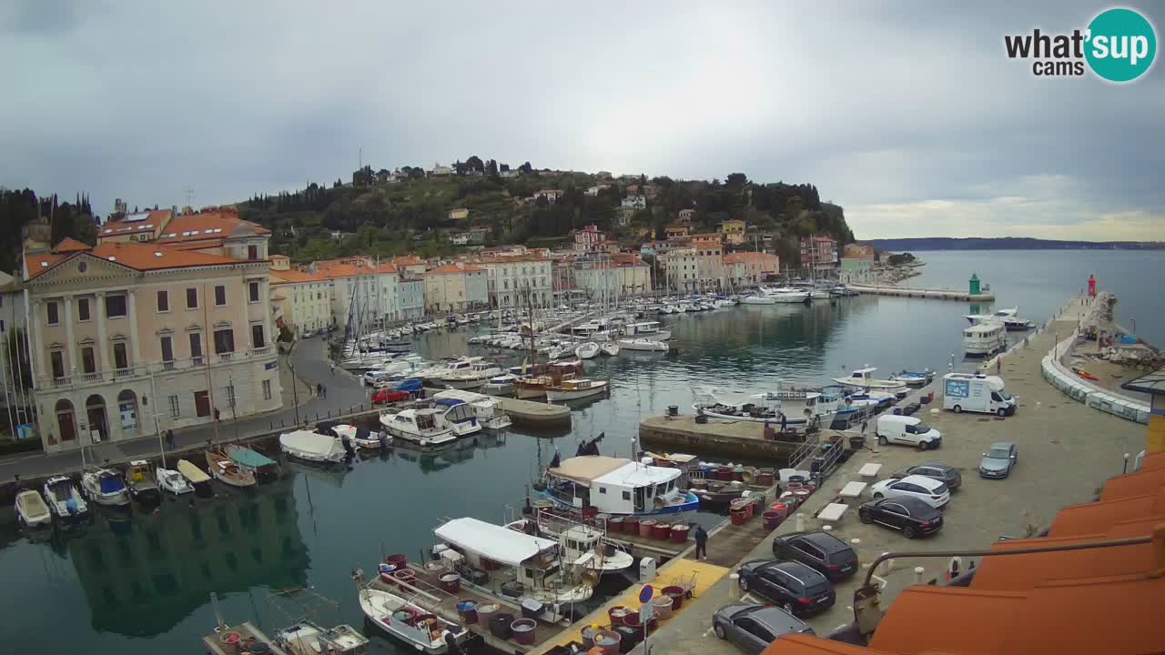 Live-Webcam aus Piran “Mandrač” – Erstaunliche Live-Ansicht von Villa Piranesi