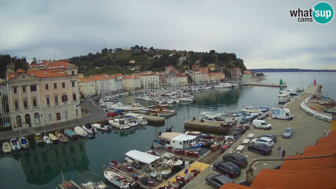 Web kamera uživo iz Pirana “Mandrač” – Nevjerojatan pogled uživo iz Ville Piranesi