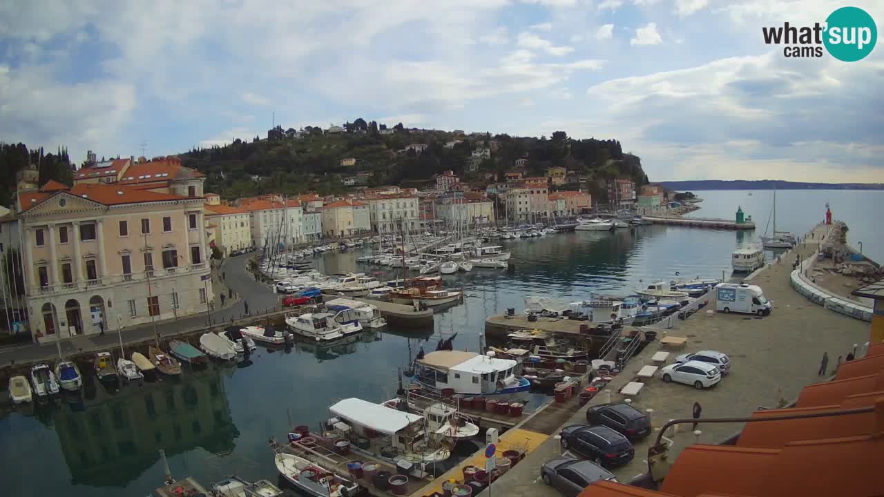 Iz Pirana Spletna kamera v živo “Mandrač” – Neverjeten pogled v živo iz Vile Piranesi