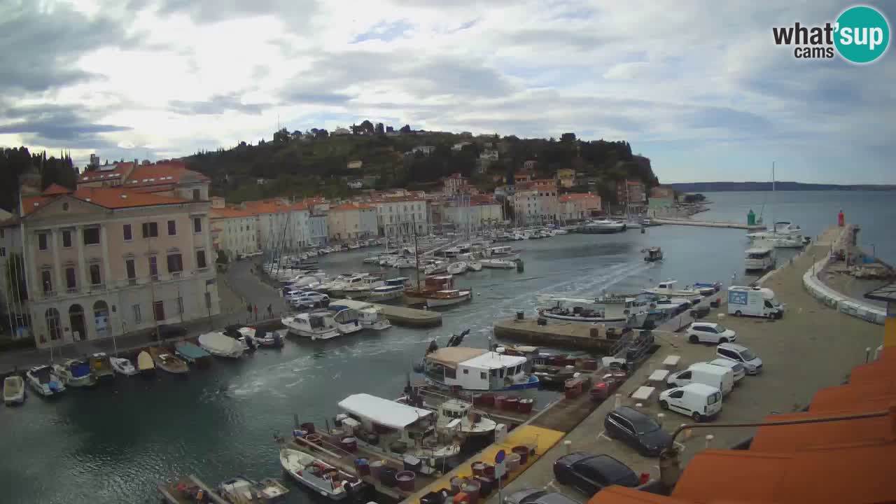 Live webcam da Pirano “Mandrač” – Splendida vista live da Villa Piranesi