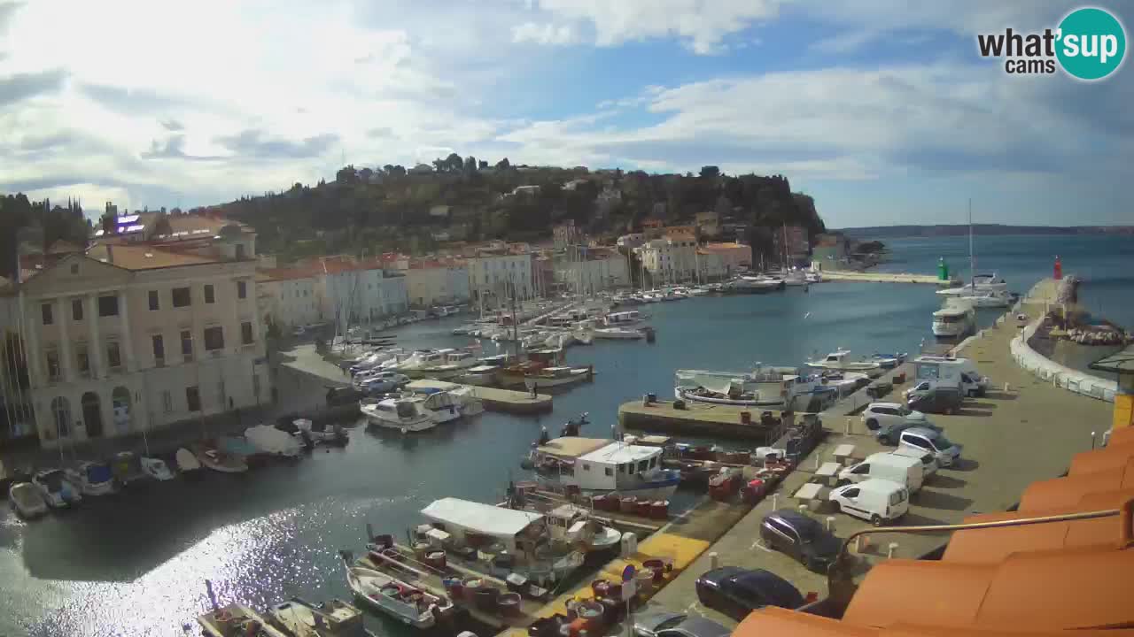 Iz Pirana Spletna kamera v živo “Mandrač” – Neverjeten pogled v živo iz Vile Piranesi