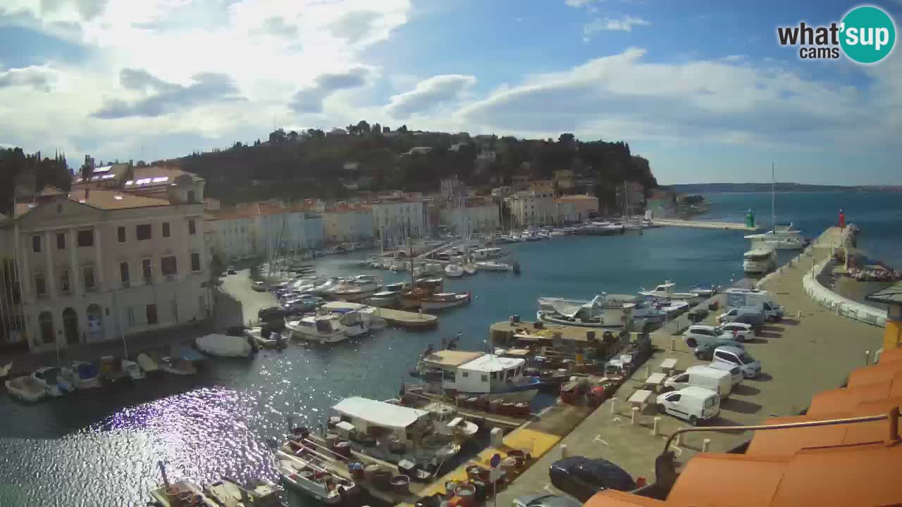 Iz Pirana Spletna kamera v živo “Mandrač” – Neverjeten pogled v živo iz Vile Piranesi