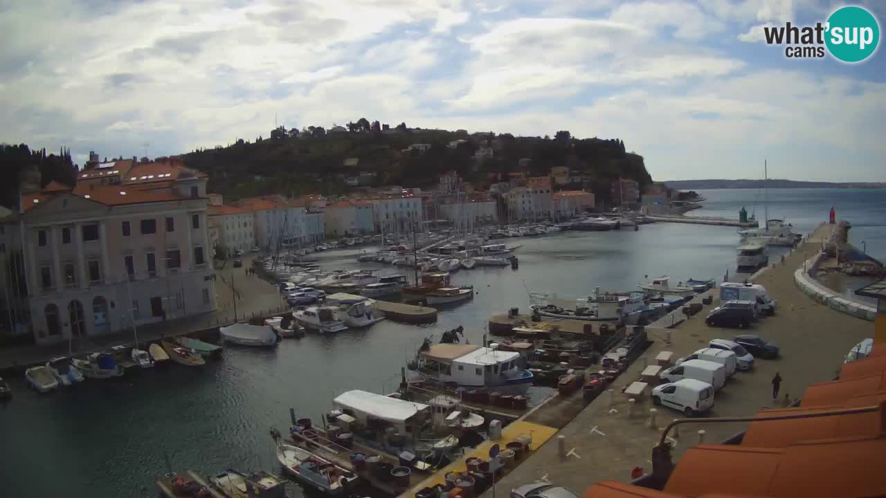 Live-Webcam aus Piran “Mandrač” – Erstaunliche Live-Ansicht von Villa Piranesi
