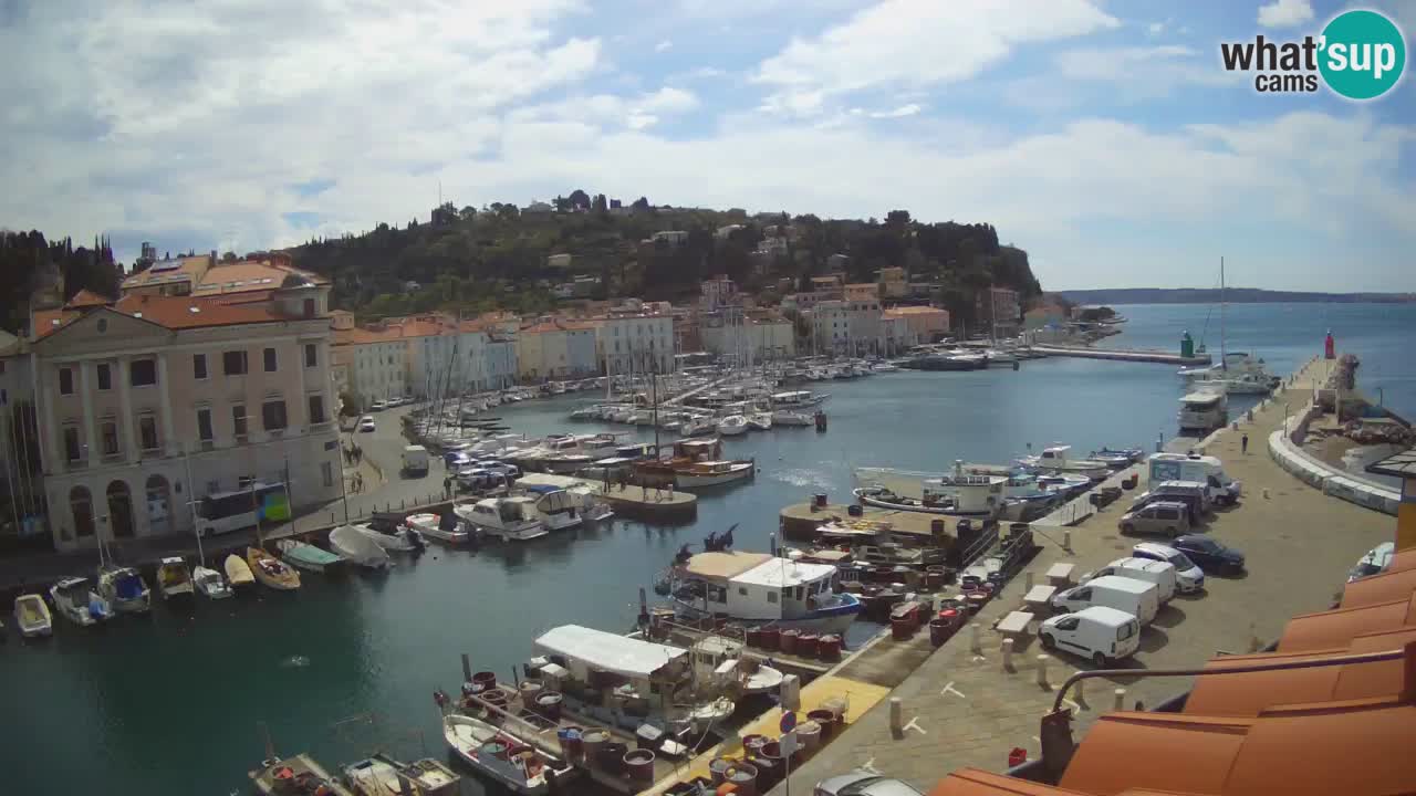 Iz Pirana Spletna kamera v živo “Mandrač” – Neverjeten pogled v živo iz Vile Piranesi