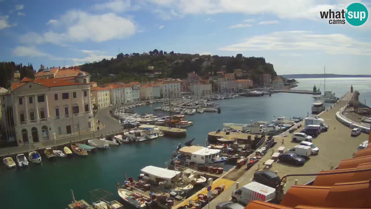 Iz Pirana Spletna kamera v živo “Mandrač” – Neverjeten pogled v živo iz Vile Piranesi